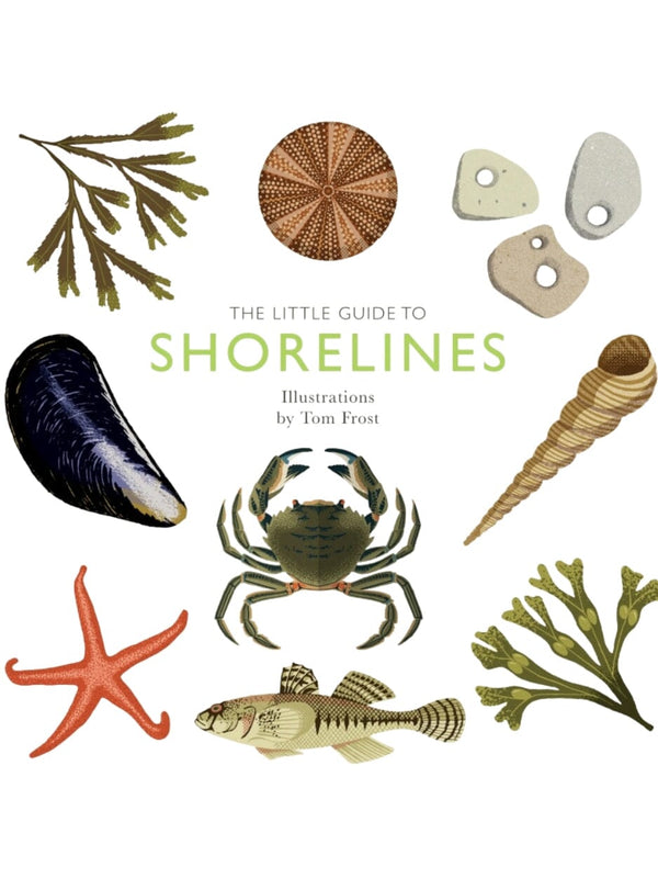 The Little Guide to Shorelines By Alison Davies BOOKS HARDIE GRANT GIFT 