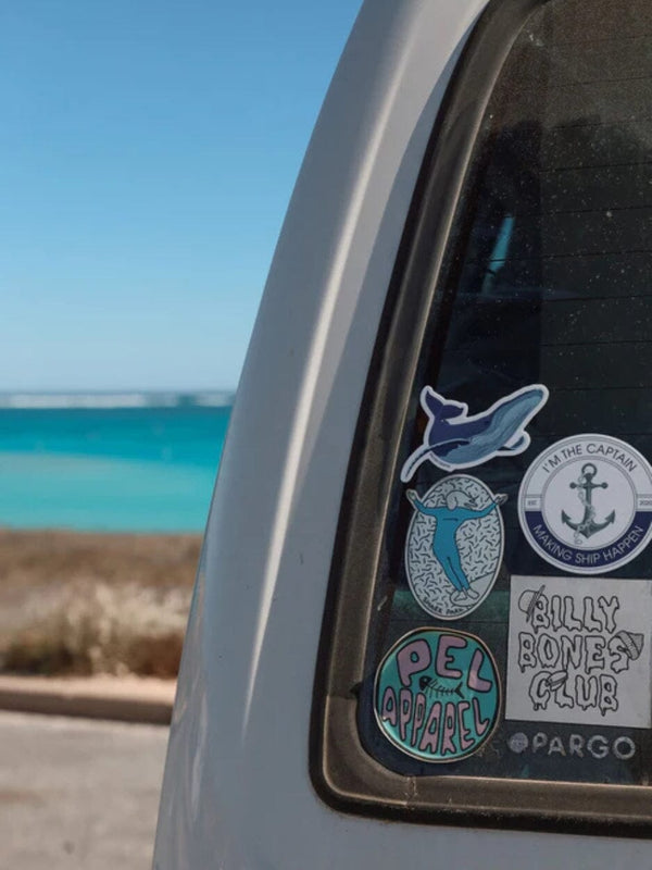 Sticker - Humpback Whale STICKERS SAILFISH CREATIVE 