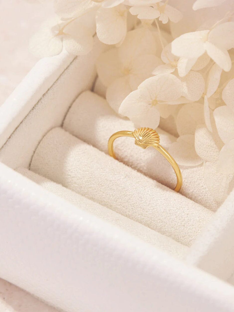 Dainty Seashell Ring - Gold RINGS MIDSUMMER STAR 