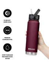 750mL Insulated Bottle w/ Straw Lid From Project Pargo BPA and Toxic Free - Wild Cherry DRINK BOTTLE PROJECT PARGO 