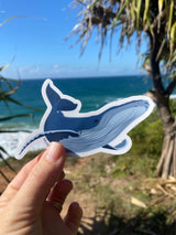 Sticker - Humpback Whale STICKERS SAILFISH CREATIVE 