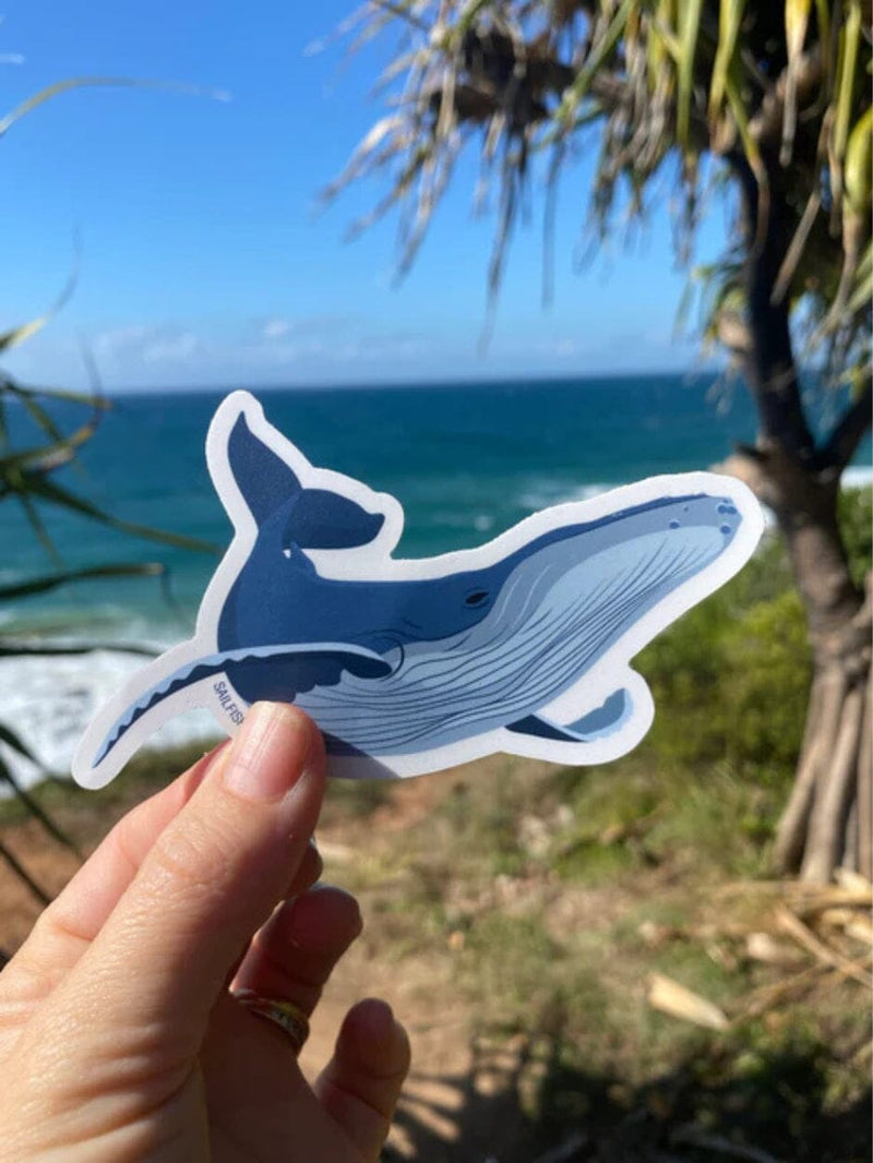 Sticker - Humpback Whale STICKERS SAILFISH CREATIVE 