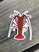 Sticker - Crayfish Rock Lobster STICKERS SAILFISH CREATIVE 