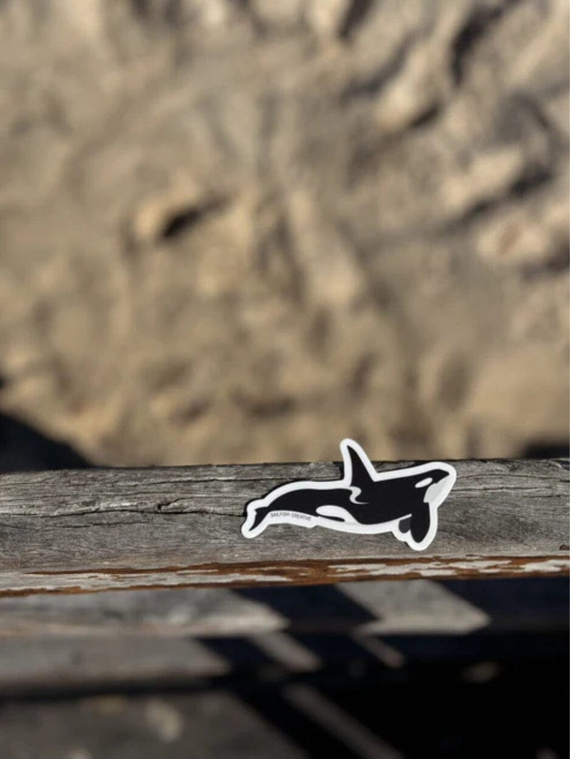 Sticker - Orca Killer Whale STICKERS SAILFISH CREATIVE 