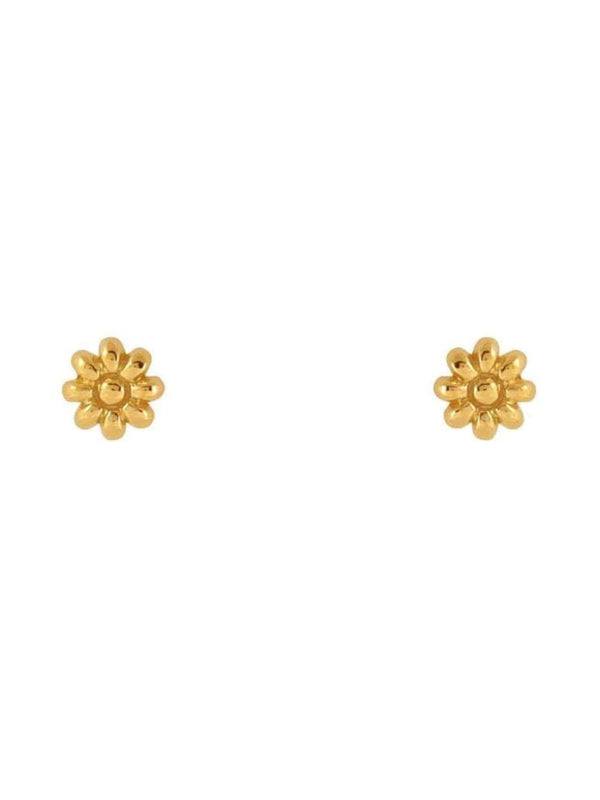 Wild Flower Studs - Gold EARRINGS MIDSUMMER STAR 