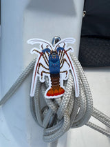 Sticker - Ornate Painted Cray STICKERS SAILFISH CREATIVE 