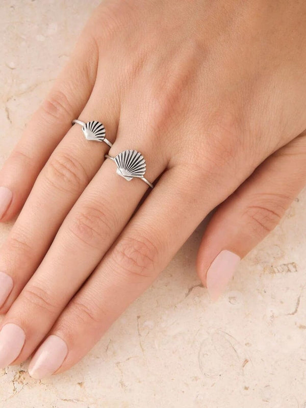 Dainty Seashell Ring RINGS MIDSUMMER STAR 